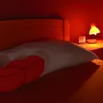 公寓 复古公寓 *